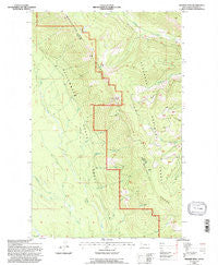 Werner Peak Montana Historical topographic map, 1:24000 scale, 7.5 X 7.5 Minute, Year 1994
