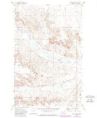 West Fork NE Montana Historical topographic map, 1:24000 scale, 7.5 X 7.5 Minute, Year 1973