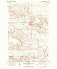 West Fork NE Montana Historical topographic map, 1:24000 scale, 7.5 X 7.5 Minute, Year 1973