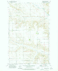 West Fork Montana Historical topographic map, 1:24000 scale, 7.5 X 7.5 Minute, Year 1973