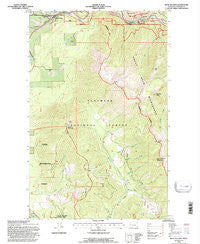 West Glacier Montana Historical topographic map, 1:24000 scale, 7.5 X 7.5 Minute, Year 1994