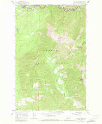 West Glacier Montana Historical topographic map, 1:24000 scale, 7.5 X 7.5 Minute, Year 1964