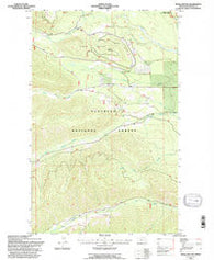 Whale Buttes Montana Historical topographic map, 1:24000 scale, 7.5 X 7.5 Minute, Year 1994