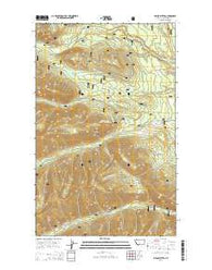 Whale Buttes Montana Current topographic map, 1:24000 scale, 7.5 X 7.5 Minute, Year 2014