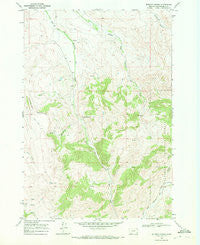 Whiskey Spring Montana Historical topographic map, 1:24000 scale, 7.5 X 7.5 Minute, Year 1968