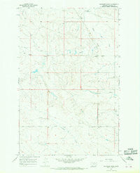 Whiteside Ranch Montana Historical topographic map, 1:24000 scale, 7.5 X 7.5 Minute, Year 1965