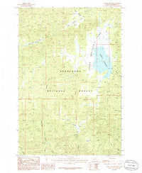 Whitetail Peak Montana Historical topographic map, 1:24000 scale, 7.5 X 7.5 Minute, Year 1985
