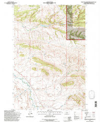 Whitetail Reservoir Montana Historical topographic map, 1:24000 scale, 7.5 X 7.5 Minute, Year 1995