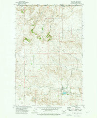 Whitetail Montana Historical topographic map, 1:24000 scale, 7.5 X 7.5 Minute, Year 1973
