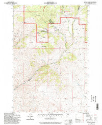 Wickiup Creek Montana Historical topographic map, 1:24000 scale, 7.5 X 7.5 Minute, Year 1996