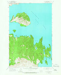 Wild Horse Island Montana Historical topographic map, 1:24000 scale, 7.5 X 7.5 Minute, Year 1964