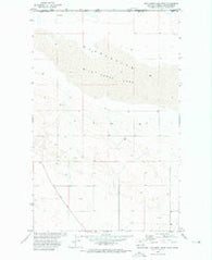 Wild Horse Lake West Montana Historical topographic map, 1:24000 scale, 7.5 X 7.5 Minute, Year 1972