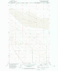 Wild Horse Lake West Montana Historical topographic map, 1:24000 scale, 7.5 X 7.5 Minute, Year 1972