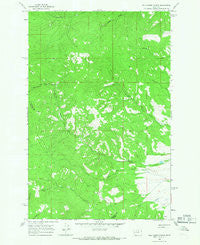 Wild Horse Parks Montana Historical topographic map, 1:24000 scale, 7.5 X 7.5 Minute, Year 1965