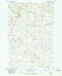 Willard Montana Historical topographic map, 1:24000 scale, 7.5 X 7.5 Minute, Year 1981