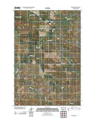 Willard SE Montana Historical topographic map, 1:24000 scale, 7.5 X 7.5 Minute, Year 2011