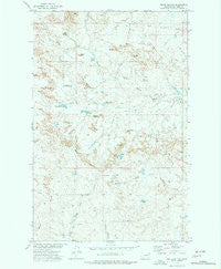 Willis Buttes Montana Historical topographic map, 1:24000 scale, 7.5 X 7.5 Minute, Year 1973