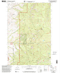 Willow Mountain Montana Historical topographic map, 1:24000 scale, 7.5 X 7.5 Minute, Year 1998
