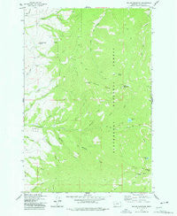 Willow Mountain Montana Historical topographic map, 1:24000 scale, 7.5 X 7.5 Minute, Year 1977