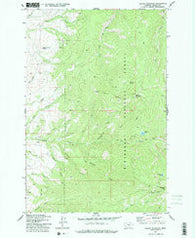 Willow Mountain Montana Historical topographic map, 1:24000 scale, 7.5 X 7.5 Minute, Year 1977