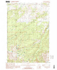 Willow Swamp Montana Historical topographic map, 1:24000 scale, 7.5 X 7.5 Minute, Year 1988