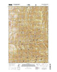 Willow Mountain Montana Current topographic map, 1:24000 scale, 7.5 X 7.5 Minute, Year 2014