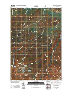 Willow Swamp Montana Historical topographic map, 1:24000 scale, 7.5 X 7.5 Minute, Year 2011