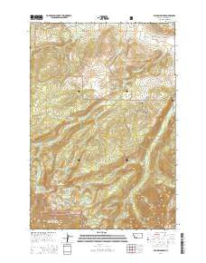 Willow Swamp Montana Current topographic map, 1:24000 scale, 7.5 X 7.5 Minute, Year 2014