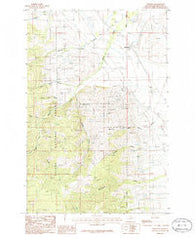 Winston Montana Historical topographic map, 1:24000 scale, 7.5 X 7.5 Minute, Year 1986