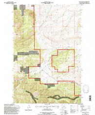 Wolf Butte Montana Historical topographic map, 1:24000 scale, 7.5 X 7.5 Minute, Year 1995