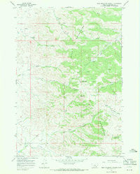 Wolf Mountain Lookout Montana Historical topographic map, 1:24000 scale, 7.5 X 7.5 Minute, Year 1967