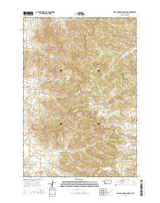 Wolf Mountain Lookout Montana Current topographic map, 1:24000 scale, 7.5 X 7.5 Minute, Year 2014