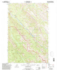 Wood Lake Montana Historical topographic map, 1:24000 scale, 7.5 X 7.5 Minute, Year 1995