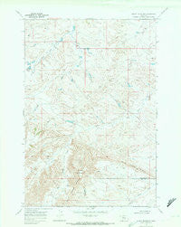Woody Mountain Montana Historical topographic map, 1:24000 scale, 7.5 X 7.5 Minute, Year 1969