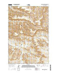 Woody Mountain NW Montana Current topographic map, 1:24000 scale, 7.5 X 7.5 Minute, Year 2014