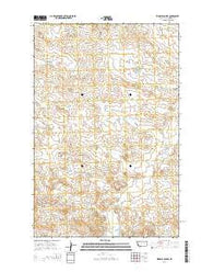 Ziegele Coulee Montana Current topographic map, 1:24000 scale, 7.5 X 7.5 Minute, Year 2014