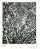 Albemarle NW North Carolina Historical topographic map, 1:24000 scale, 7.5 X 7.5 Minute, Year 1977