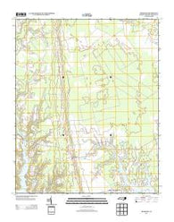 Arapahoe North Carolina Historical topographic map, 1:24000 scale, 7.5 X 7.5 Minute, Year 2013