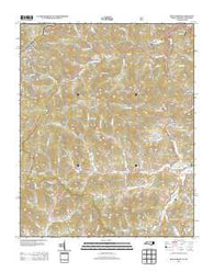 Bald Creek North Carolina Historical topographic map, 1:24000 scale, 7.5 X 7.5 Minute, Year 2013