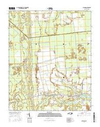 Bayboro North Carolina Current topographic map, 1:24000 scale, 7.5 X 7.5 Minute, Year 2016