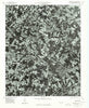 Bessemer City North Carolina Historical topographic map, 1:24000 scale, 7.5 X 7.5 Minute, Year 1976