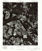 Boones Crossroads North Carolina Historical topographic map, 1:24000 scale, 7.5 X 7.5 Minute, Year 1977