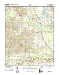 Bunnlevel North Carolina Historical topographic map, 1:24000 scale, 7.5 X 7.5 Minute, Year 2013