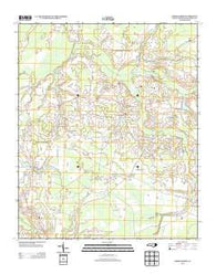 Cerro Gordo North Carolina Historical topographic map, 1:24000 scale, 7.5 X 7.5 Minute, Year 2013