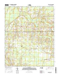 Cerro Gordo North Carolina Current topographic map, 1:24000 scale, 7.5 X 7.5 Minute, Year 2016