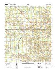 Chadbourn North Carolina Current topographic map, 1:24000 scale, 7.5 X 7.5 Minute, Year 2016