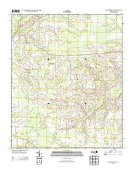Chadbourn NE North Carolina Historical topographic map, 1:24000 scale, 7.5 X 7.5 Minute, Year 2013