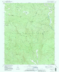Chestnut Mountain North Carolina Historical topographic map, 1:24000 scale, 7.5 X 7.5 Minute, Year 1993