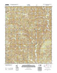 Chestnut Mountain North Carolina Historical topographic map, 1:24000 scale, 7.5 X 7.5 Minute, Year 2013
