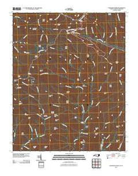Clingmans Dome North Carolina Historical topographic map, 1:24000 scale, 7.5 X 7.5 Minute, Year 2010